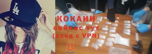 винт Осташков