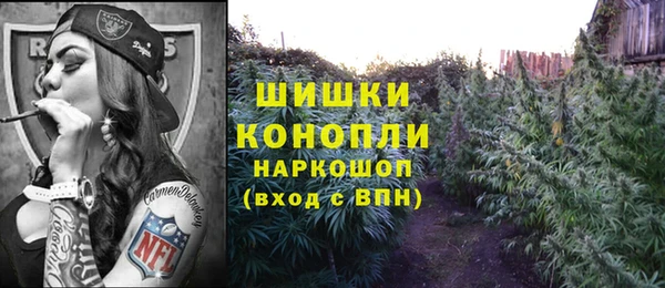 винт Осташков