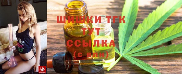 винт Осташков